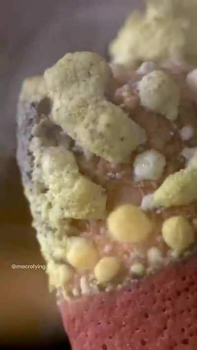 How a matchstick ignite by the friction surface of the box.