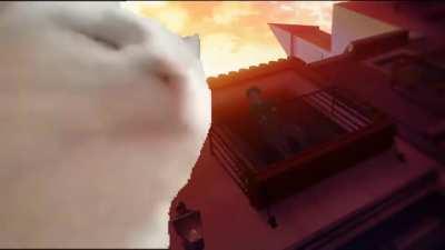 This is too good to be skipped