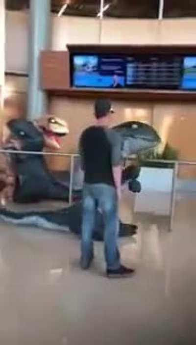 These grandkids planned to surprise grandma at the airport dressing as Raptors but she heard about it and planned her own surprise.