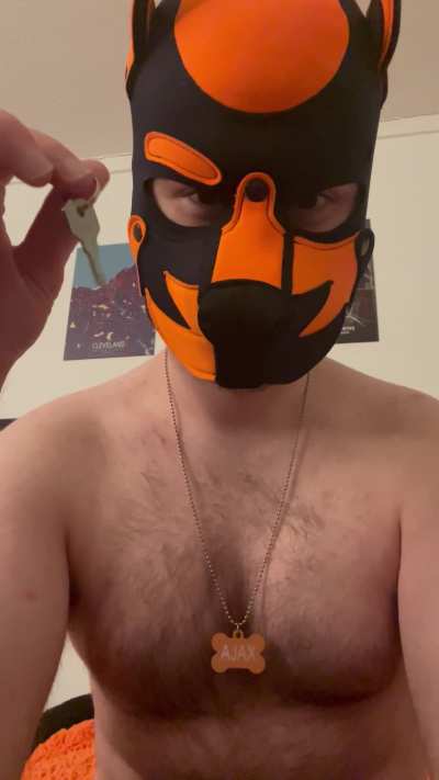 Oh now you want your key back? Sorry pup, not gonna happen. Enjoy being locked for Alpha 😈