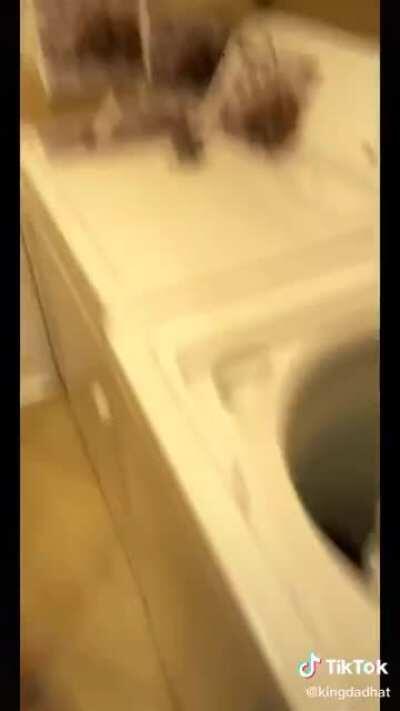 Kevin’s TicTok Crush