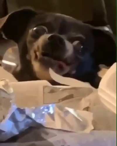When I see a tasty treat