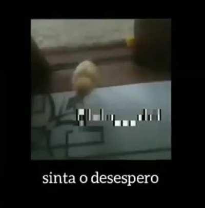 O terror de Souzones