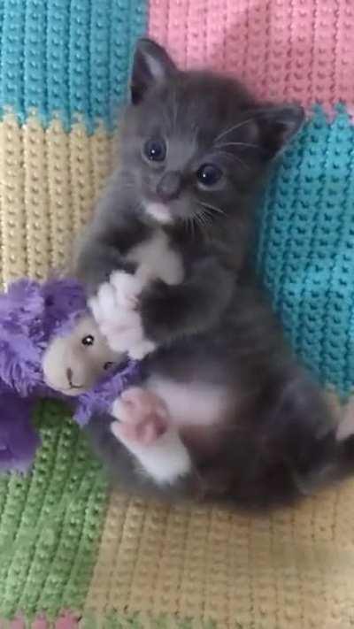 Isaac from his glamour photo session the other day