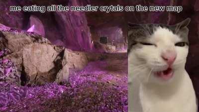 new halo infinite map..