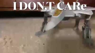 When the F-22 is sussy