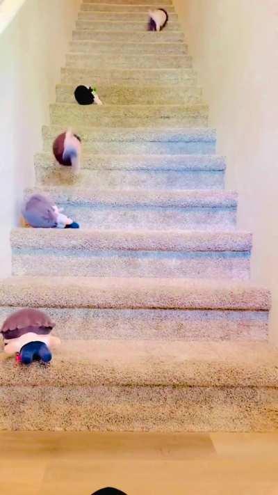 Today’s DavidWednesday was epic