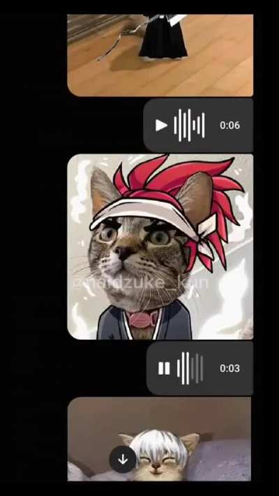 Bleach, if it was cats