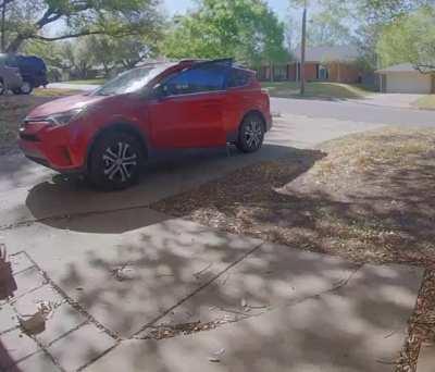 notmycat tries to jack my car