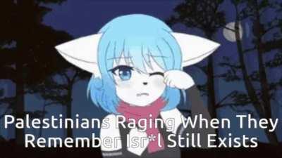 Ultimate Middle Easterners Explaining Meme