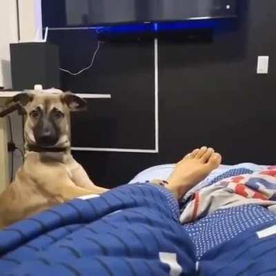 The best alarm does not exist 😂😂