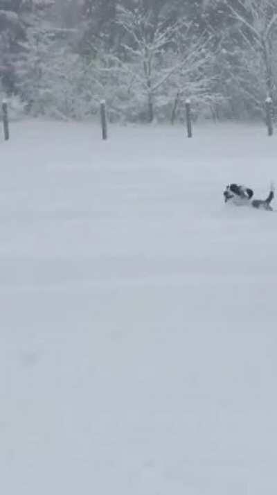 Butterfly stroke activated