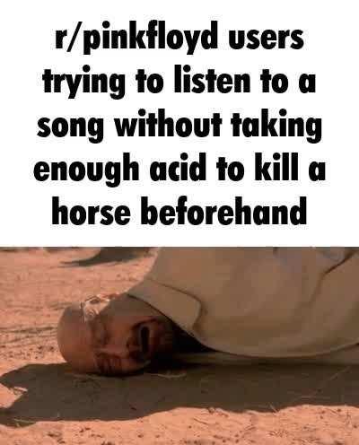 you should listen to DSOTM on acid bro its so good i swear get high on acid bro