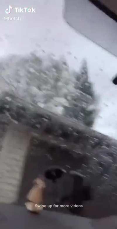 You definitely should get inside