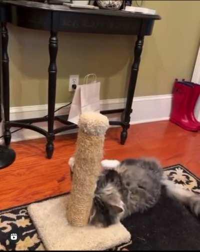 This is a great post