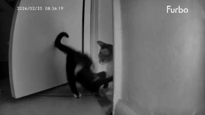 Sis walked through the door 0.3 seconds too slow 😭