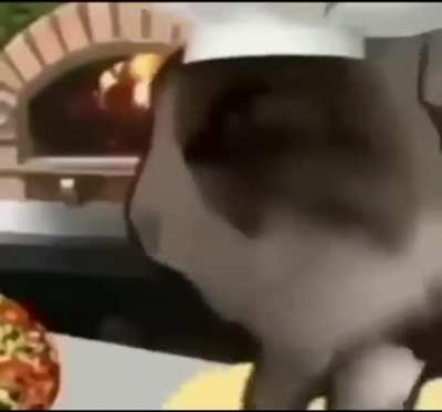Gatinho na pizzaria 🍕 🐈