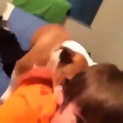 The best do be slapping tho