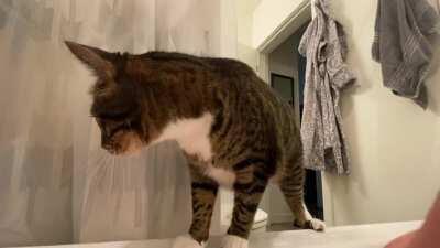 Every. Single. Time.