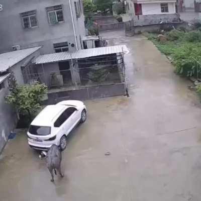 Surviving a bill attack.