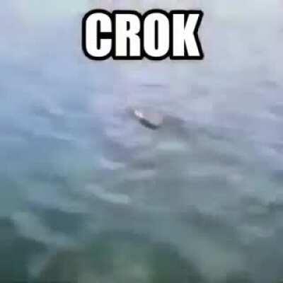 Crok