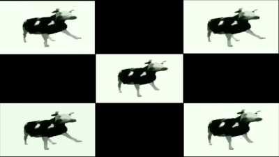 Dancing Polish Cow