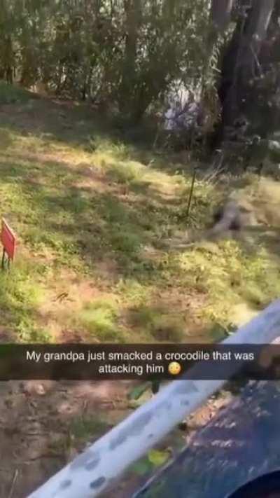 This Grandpa smacked a crocodile and the croc runs