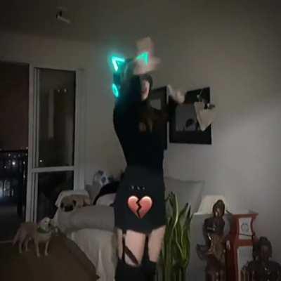 PedroDBR - Video #5102