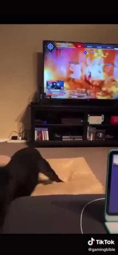 To be fair. This scared the shit out if me the first time I saw it as well....