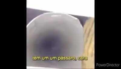 vo-você gosta? 👉👈