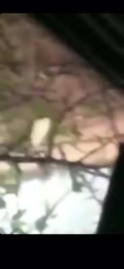 When your car flips in Brazil.