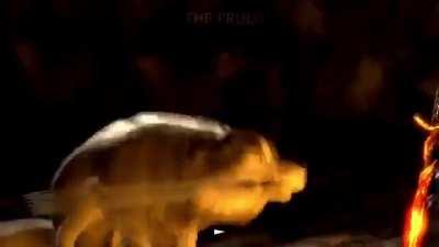 Fizeram uma musica em homenagem ai sub