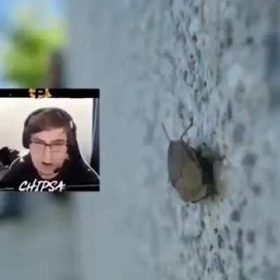 He's spitting facts tho