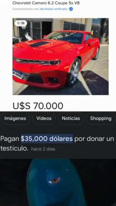 MomazosBeelce1 - Video #8984