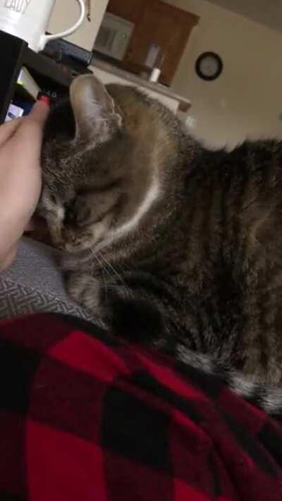 It’s always a roll of the dice