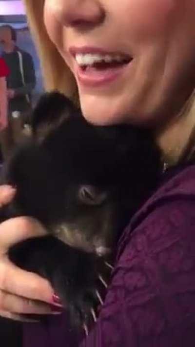 Surprising Discovery: Bear Cubs Purr Like a Flooded Engine!