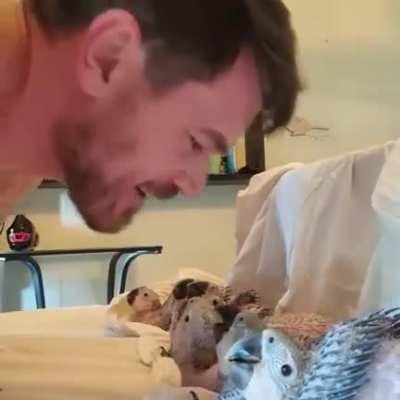 These parrots stay in bed while receiving kisses