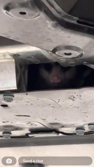 Nothing to see here…