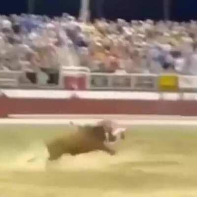 he broke the rules of nature