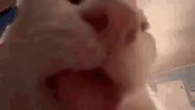 FREAKUS HAS ATTACKED THIS SUB! CODE RED! 