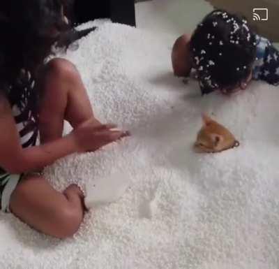 That's gonna take a long time to clean up