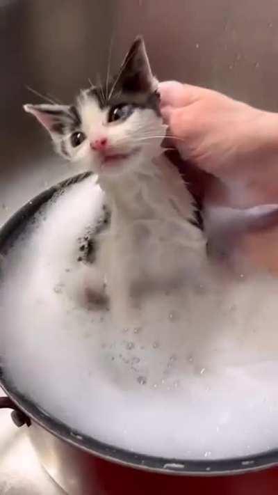 I've reached the century trademark of blogs.