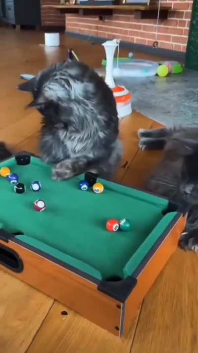 The council is enjoying a game of 8 ball