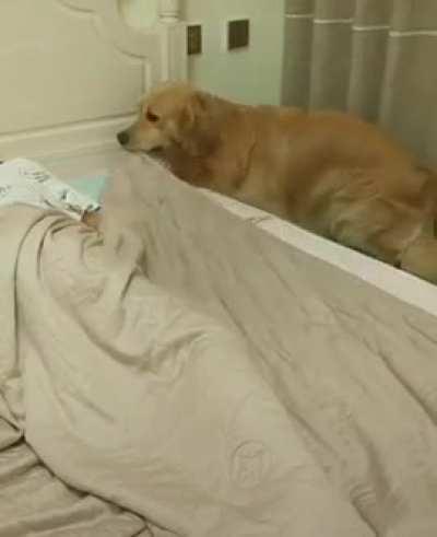 It's nice to know that he takes care of me