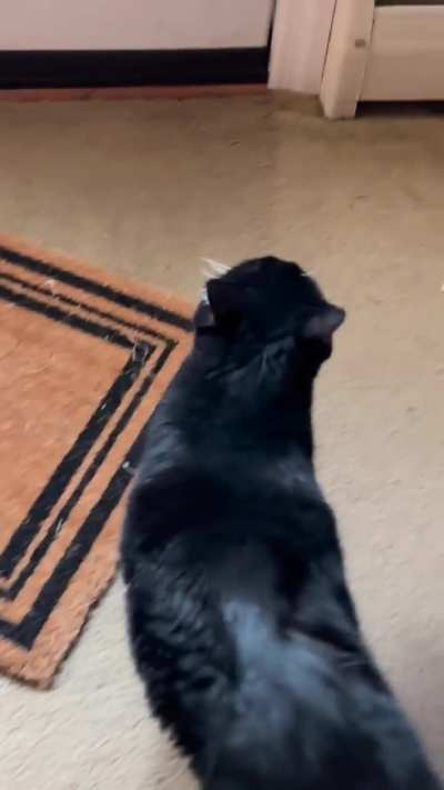 Mither, I yearn for the outside