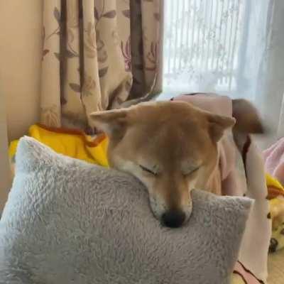 Happiness can be very simple, like holding your pillow while covered by your blanket.