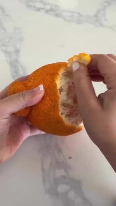 doggo loves the new hat