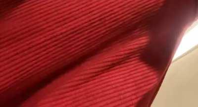 Would you have fucked me everyday if I was your sister?