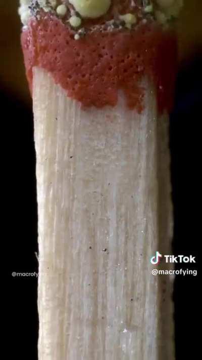 I always liked these videos.