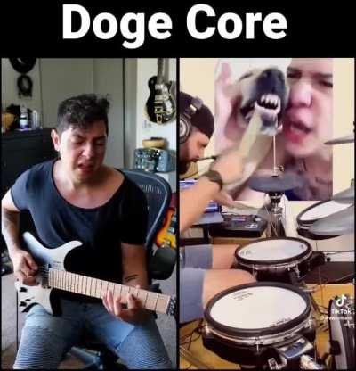 Doge Core